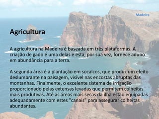 Agricultura
A agricultura na Madeira é baseada em três plataformas. A
criação de gado é uma delas e esta, por sua vez, fornece adubo
em abundância para a terra.
A segunda área é a plantação em socalcos, que produz um efeito
deslumbrante na paisagem, visível nas encostas abruptas das
montanhas. Finalmente, o excelente sistema de irrigação
proporcionado pelas extensas levadas que permitem colheitas
mais produtivas. Até as áreas mais secas da ilha estão equipadas
adequadamente com estes "canais" para assegurar colheitas
abundantes.
Madeira
 