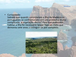 • Curiosidade:
Sabiam que quando colonizaram a ilha da Madeira os
portugueses se confrontaram com um problema muito
complicado, a vegetação densa? Para que pudessem
habitar a ilha foi necessário lançar fogo ao mato que
demorou sete anos a extinguir-se por completo.
 