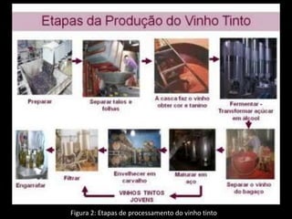 Figura 2: Etapas de processamento do vinho tinto
 