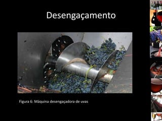 Desengaçamento
Figura 6: Máquina desengaçadora de uvas
 