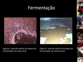 Fermentação
Figura 8 : vista do interior do tanque de
fermentação de vinho tinto
Figura 9 : vista do interior do tanque de
fermentação de vinho branco
 