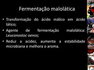 Fermentação malolática
• Transformação do ácido málico em ácido
lático;
• Agente de fermentação malolática:
Leuconostoc oenos;
• Reduz a acidez, aumenta a estabilidade
microbiana e melhora o aroma.
 