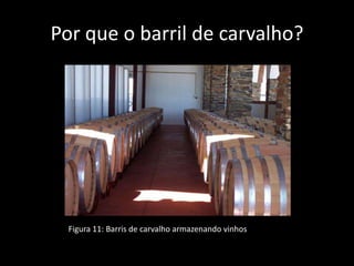 Por que o barril de carvalho?
Figura 11: Barris de carvalho armazenando vinhos
 