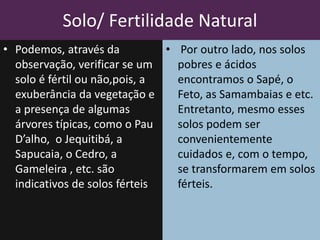 Solo/ Fertilidade Natural
• Podemos, através da
observação, verificar se um
solo é fértil ou não,pois, a
exuberância da vegetação e
a presença de algumas
árvores típicas, como o Pau
D’alho, o Jequitibá, a
Sapucaia, o Cedro, a
Gameleira , etc. são
indicativos de solos férteis
• Por outro lado, nos solos
pobres e ácidos
encontramos o Sapé, o
Feto, as Samambaias e etc.
Entretanto, mesmo esses
solos podem ser
convenientemente
cuidados e, com o tempo,
se transformarem em solos
férteis.
 