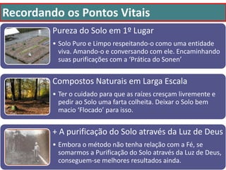 Recordando os Pontos Vitais
Pureza do Solo em 1º Lugar
• Solo Puro e Limpo respeitando-o como uma entidade
viva. Amando-o e conversando com ele. Encaminhando
suas purificações com a ‘Prática do Sonen’
Compostos Naturais em Larga Escala
• Ter o cuidado para que as raízes cresçam livremente e
pedir ao Solo uma farta colheita. Deixar o Solo bem
macio ‘Flocado’ para isso.
+ A purificação do Solo através da Luz de Deus
• Embora o método não tenha relação com a Fé, se
somarmos a Purificação do Solo através da Luz de Deus,
conseguem-se melhores resultados ainda.
 