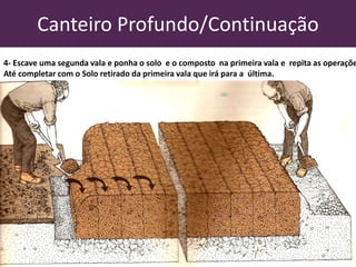 Canteiro Profundo/Continuação
4- Escave uma segunda vala e ponha o solo e o composto na primeira vala e repita as operaçõe
Até completar com o Solo retirado da primeira vala que irá para a última.
 