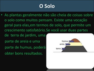 O Solo
• As plantas geralmente não são cheia de coisas sobre
o solo como muitos pensam. Existe uma vocação
geral para elas,em termos de solo, que permite um
crescimento satisfatório.Se você usar duas partes
de terra de jardim, uma
parte de areia e uma
parte de humus, poderá ooooooooooooo
obter bons resultados.
terra
areia
húmus
 