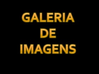 Período Artístico Rococó