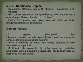 5.- CU- Candidíase Ungueal:
• Os agentes etilógicos são a C. albicans, Parapsilosis e C.
Tropicalis;
• Mais comum nas unhas dos quirodáctilos, com predominância
em mulheres. Mais conhecida como “unheiro”;
• Ocorre em pessoas que vivem com as mãos na água:
lavadeiras, jardineiros, cozinheiras.

Características:
•A
região
peri-ungueal
fica
inflamada, dolorida, inchada, avermelhada e pode se apresentar
com coleção purulenta na base da unha;
• Altera a formação da unha, que cresce ondulada e com
alterações na superfície;
• Modificação da coloração da unha para um castanhoamarelado, marrom ou amarelo-esverdeado, ocorre opacificação e
destruição total das unhas.

 