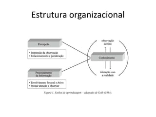 Estrutura organizacional

 