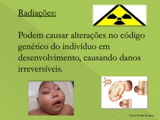 Fonte: Google Imagens

 