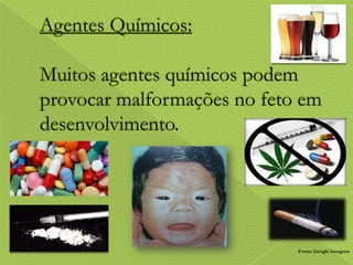 Fonte: Google Imagens

 