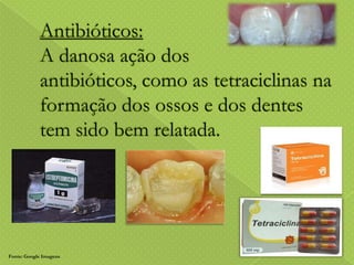 Fonte: Google Imagens

 