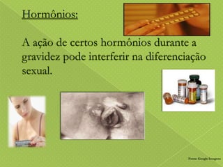 Fonte: Google Imagens

 