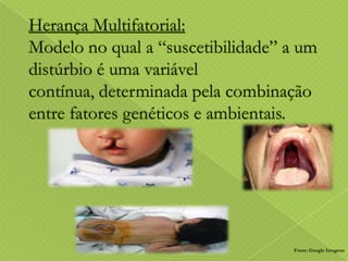 Fonte: Google Imagens

 