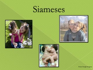 Fonte: Google Imagens

 