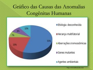 http: www.infoescola.com

 