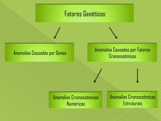 Fatores Genéticos

Anomalias Causadas por Genes

Anomalias Causadas por Fatores
Cromossômicos

Anomalias Cromossômicas
Numéricas

Anomalias Cromossômicas
Estruturais

 