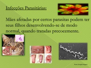 Fonte: Google Imagens

 