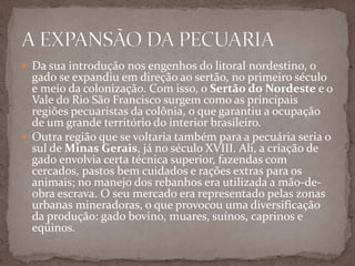  Da sua introdução nos engenhos do litoral nordestino, o

gado se expandiu em direção ao sertão, no primeiro século
e meio da colonização. Com isso, o Sertão do Nordeste e o
Vale do Rio São Francisco surgem como as principais
regiões pecuaristas da colônia, o que garantiu a ocupação
de um grande território do interior brasileiro.
 Outra região que se voltaria também para a pecuária seria o
sul de Minas Gerais, já no século XVIII. Ali, a criação de
gado envolvia certa técnica superior, fazendas com
cercados, pastos bem cuidados e rações extras para os
animais; no manejo dos rebanhos era utilizada a mão-deobra escrava. O seu mercado era representado pelas zonas
urbanas mineradoras, o que provocou uma diversificação
da produção: gado bovino, muares, suínos, caprinos e
eqüinos.

 