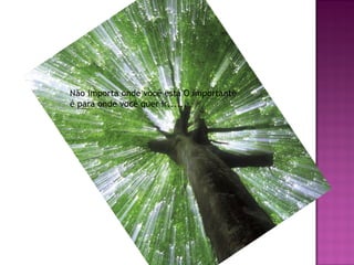 Não importa onde você está O importante
é para onde você quer ir......

 