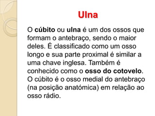 Ulna
O cúbito ou ulna é um dos ossos que
formam o antebraço, sendo o maior
deles. É classificado como um osso
longo e sua parte proximal é similar a
uma chave inglesa. Também é
conhecido como o osso do cotovelo.
O cúbito é o osso medial do antebraço
(na posição anatómica) em relação ao
osso rádio.

 
