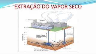 EXTRAÇÃO DO VAPOR SECO

 
