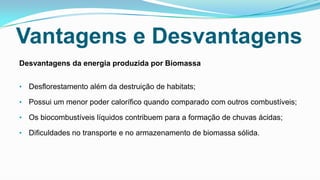 Vantagens e Desvantagens
Desvantagens da energia produzida por Biomassa
• Desflorestamento além da destruição de habitats;
• Possui um menor poder calorífico quando comparado com outros combustíveis;

• Os biocombustíveis líquidos contribuem para a formação de chuvas ácidas;
• Dificuldades no transporte e no armazenamento de biomassa sólida.

 