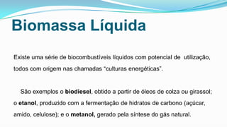 Biomassa Líquida
Existe uma série de biocombustíveis líquidos com potencial de utilização,

todos com origem nas chamadas “culturas energéticas”.

São exemplos o biodiesel, obtido a partir de óleos de colza ou girassol;
o etanol, produzido com a fermentação de hidratos de carbono (açúcar,
amido, celulose); e o metanol, gerado pela síntese do gás natural.

 