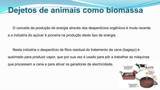 Dejetos de animais como biomassa
O conceito da produção de energia através dos desperdícios orgânicos é muito recente
e a indústria do açúcar é pioneira na produção deste tipo de energia.

Nesta indústria o desperdício de fibra residual do tratamento da cana (bagaço) é
queimado para produzir vapor, que por sua vez é usado para pôr a trabalhar as máquinas
que processam a cana e para ativar os geradores de electricidade.

 