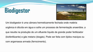 Biodigestor
Um biodigestor é uma câmara hermeticamente fechada onde matéria
orgânica é diluída em água e sofre um processo de fermentação anaeróbia ,o
que resulta na produção de um efluente líquido de grande poder fertilizador
(biofertilizante) e gás metano (biogás). Pode ser feita com tijolos maciços ou
com argamassa armada (ferrocimento).

 