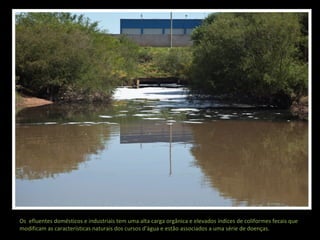 Os efluentes domésticos e industriais tem uma alta carga orgânica e elevados índices de coliformes fecais que
modificam as características naturais dos cursos d'água e estão associados a uma série de doenças.

 