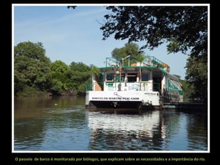 O passeio de barco é monitorado por biólogos, que explicam sobre as necessidades e a importância do rio.

 