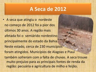 A Seca de 2012
• A seca que atingiu o nordeste
no começo de 2012 foi a pior dos
últimos 30 anos. A região mais
afetada foi o semiárido nordestino,
principalmente do estado da Bahia.
Neste estado, cerca de 230 municípios
foram atingidos. Municípios de Alagoas e Piauí
também sofreram com a falta de chuvas. A seca trouxe
muito prejuízo para as principais fontes de renda da
região: pecuária e agricultura de milho e feijão.

 