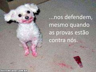 ...nos defendem,
mesmo quando
as provas estão
contra nós.

 