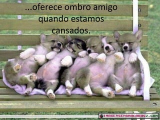 ...oferece ombro amigo
quando estamos
cansados.

 