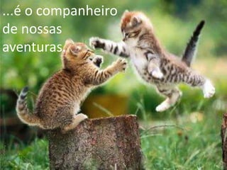 ...é o companheiro
de nossas
aventuras.

 