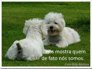 ...nos mostra quem
de fato nós somos.

 