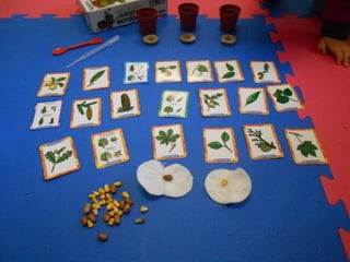 Atividades divertidas