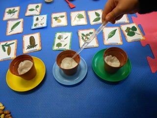 Atividades divertidas