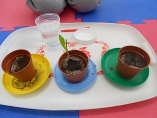 Atividades divertidas