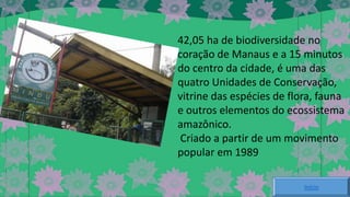 42,05 ha de biodiversidade no
coração de Manaus e a 15 minutos
do centro da cidade, é uma das
quatro Unidades de Conservação,
vitrine das espécies de flora, fauna
e outros elementos do ecossistema
amazônico.
Criado a partir de um movimento
popular em 1989
Início

 