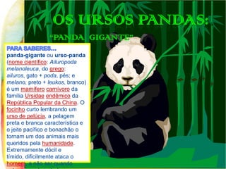 panda-gigante ou urso-panda
(nome científico: Ailuropoda
melanoleuca, do grego:
ailuros, gato + poda, pés; e
melano, preto + leukos, branco)
é um mamífero carnívoro da
família Ursidae endêmico da
República Popular da China. O
focinho curto lembrando um
urso de pelúcia, a pelagem
preta e branca característica e
o jeito pacífico e bonachão o
tornam um dos animais mais
queridos pela humanidade.
Extremamente dócil e
tímido, dificilmente ataca o
homem, a não ser quando

 