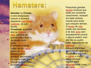 Hamster ou Criceto
é uma designação
comum a diversos
pequenos mamíferos
roedores, da subfamília
Cricetinae, encontra
dos na África e
Ásia, dotados de
grande bolsa facial e
de cauda muito
curta.
É também o nome
vulgar de um roedor
nativo da Síria
(Mesocricetus
auratus), encontrado
no mundo todo como
animal de estimação
ou como cobaia.

Possuindo grandes
dentes incisivos que
estão em constante
crescimento, necessit
am estar sempre
roendo para evitar
que cresçam demais.
O tempo de vida
médio dos hamsters
é de dois anos sem
acasalamento,contud
o alguns podem viver
até três ou quatro
anos, dependendo da
espécie.
Existem diferentes
espécies de hamsters
espalhados por todo
o mundo e muito
deles habitam
regiões semidesertas onde vivem
em tocas.

 