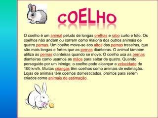 O coelho é um animal peludo de longas orelhas e rabo curto e fofo. Os
coelhos não andam ou correm como maioria dos outros animais de
quatro pernas. Um coelho move-se aos altos das pernas traseiras, que
são mais longas e fortes que as pernas dianteiras. O animal também
utiliza as pernas dianteiras quando se move. O coelho usa as pernas
dianteiras como usamos as mãos para saltar de quatro. Quando
perseguido por um inimigo, o coelho pode alcançar a velocidade de
100 km/h. Muitas crianças têm coelhos como animais de estimação.
Lojas de animais têm coelhos domesticados, prontos para serem
criados como animais de estimação.

 