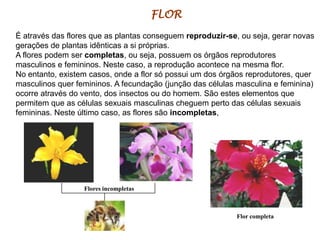 FLOR
É através das flores que as plantas conseguem reproduzir-se, ou seja, gerar novas
gerações de plantas idênticas a si próprias.
A flores podem ser completas, ou seja, possuem os órgãos reprodutores
masculinos e femininos. Neste caso, a reprodução acontece na mesma flor.
No entanto, existem casos, onde a flor só possui um dos órgãos reprodutores, quer
masculinos quer femininos. A fecundação (junção das células masculina e feminina)
ocorre através do vento, dos insectos ou do homem. São estes elementos que
permitem que as células sexuais masculinas cheguem perto das células sexuais
femininas. Neste último caso, as flores são incompletas,

Flores incompletas

Flor completa

 