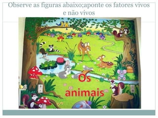 Observe as figuras abaixo;aponte os fatores vivos
e não vivos
 