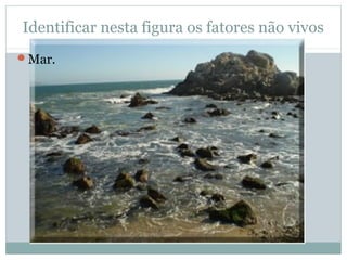 Identificar nesta figura os fatores não vivos
Mar.
 