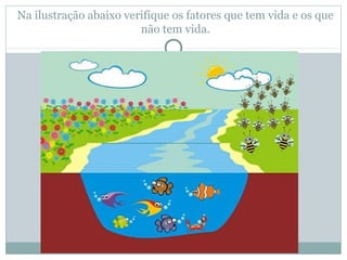 Na ilustração abaixo verifique os fatores que tem vida e os que
não tem vida.
 