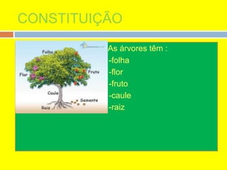 CONSTITUIÇÃO
 As árvores têm :
 -folha
 -flor
 -fruto
 -caule
 -raiz
 